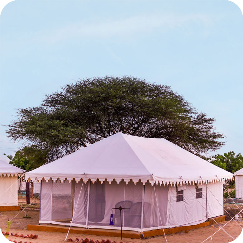 desert-camp-sam-jaisalmer-kk-bhargav-mobile