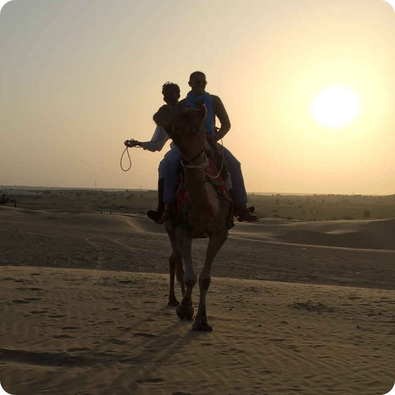 half-day-sunset-camel-safari-kk-bhargav-tours-&-travels